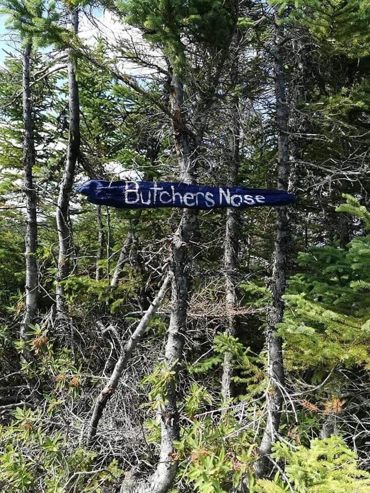 Butcher's Nose Photo 1