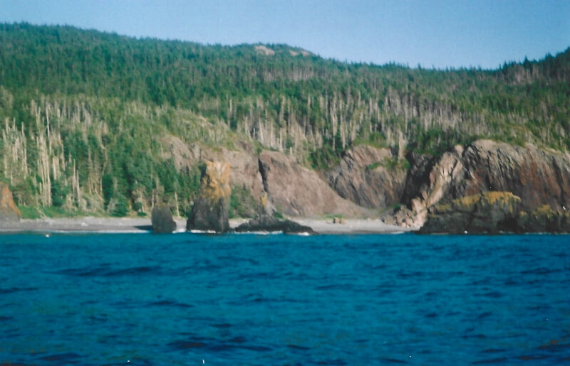 Naked Man Beach Photo 29