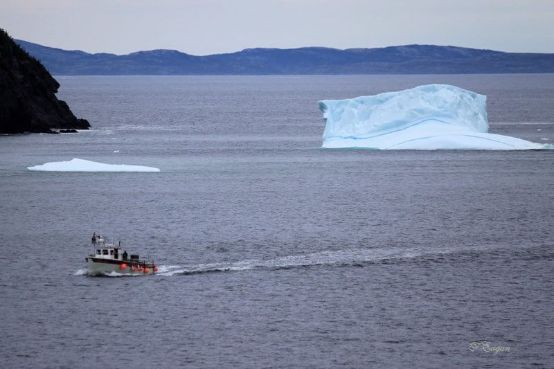 Plate Cove Photo 17