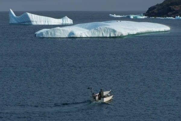 Plate Cove Photo 19