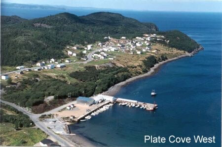 Plate Cove Photo 24