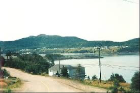 Plate Cove Photo 50