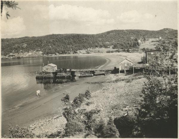 Plate Cove History 12