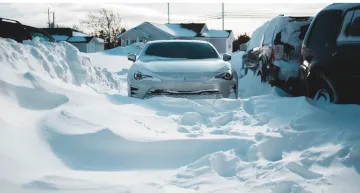 Newfoundland Sheilas Brush Winter Storm Photo